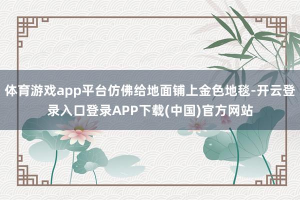 体育游戏app平台仿佛给地面铺上金色地毯-开云登录入口登录APP下载(中国)官方网站