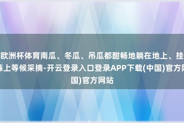 欧洲杯体育南瓜、冬瓜、吊瓜都酣畅地躺在地上、挂在藤上等候采摘-开云登录入口登录APP下载(中国)官方网站